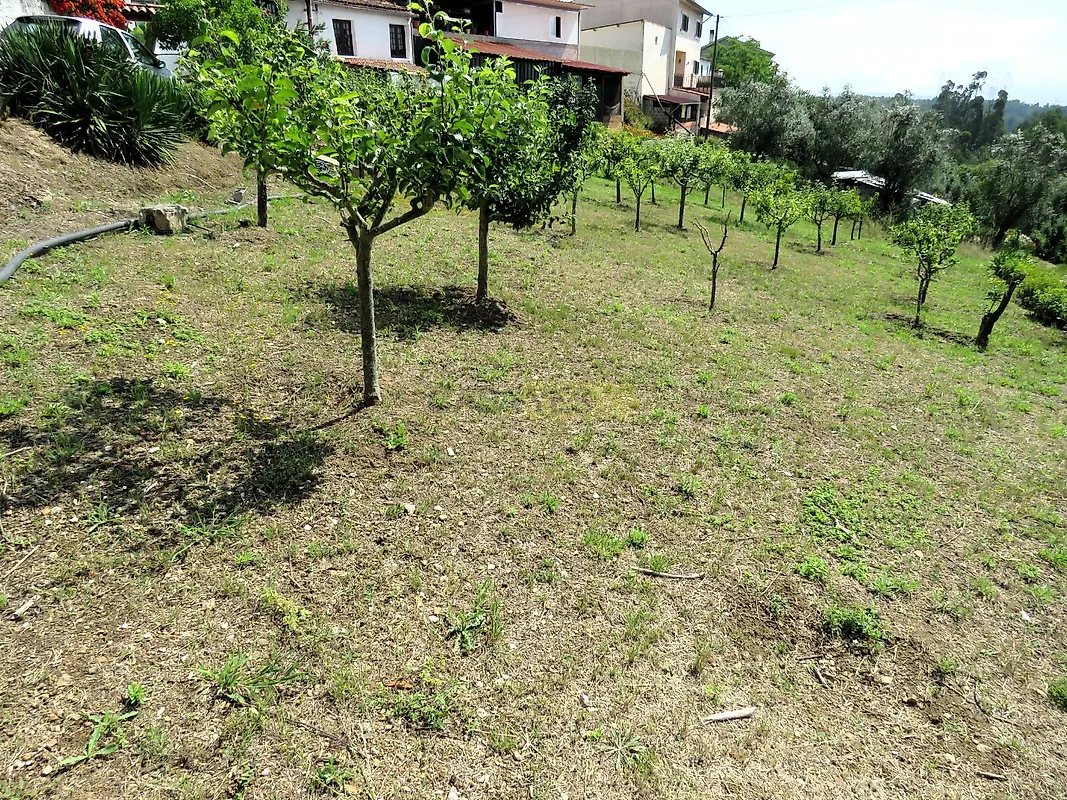 Moradia T3 à venda em Semide e Rio Vide, Miranda do Corvo — foto 25