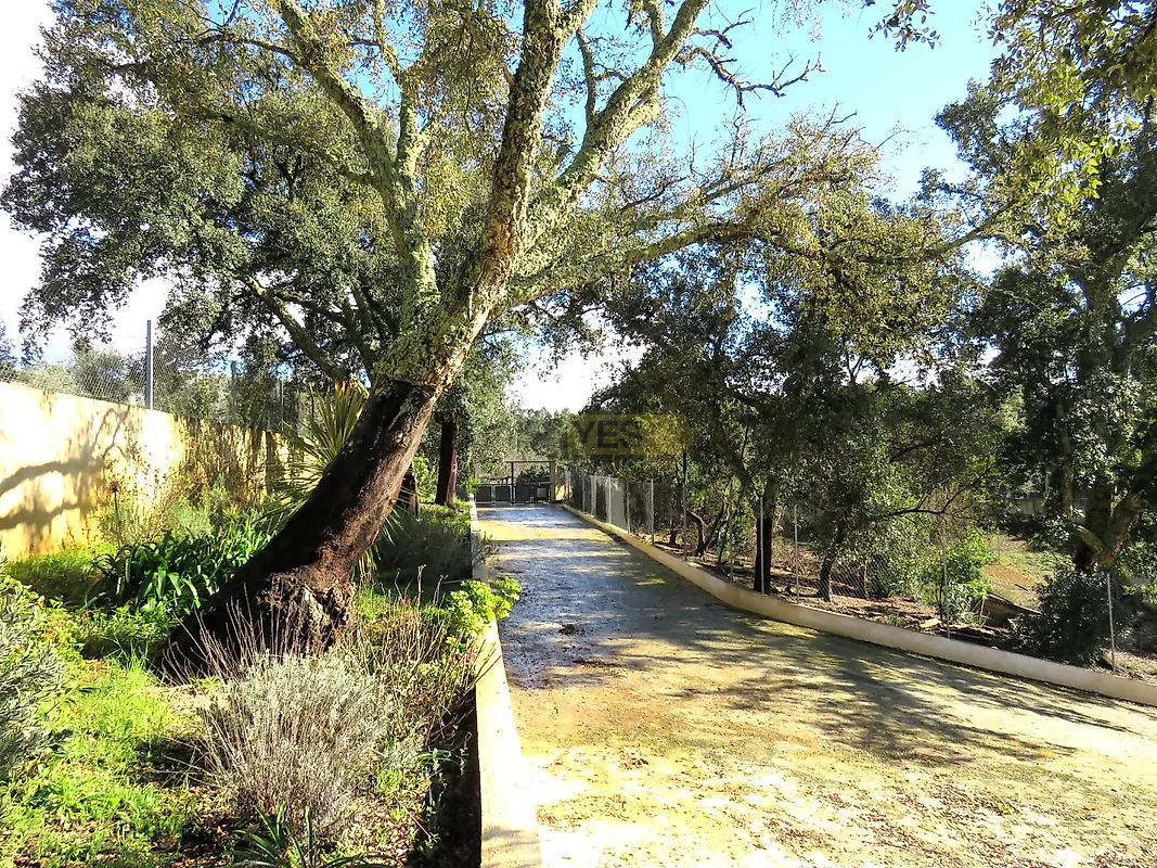 Moradia T3 à venda em Pedrógão Pequeno, Sertã — foto 11