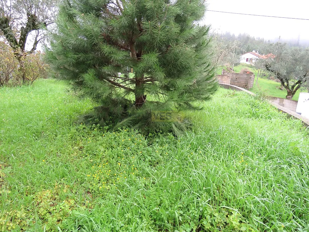 Moradia T3 à venda em São Martinho da Cortiça, Arganil — foto 10