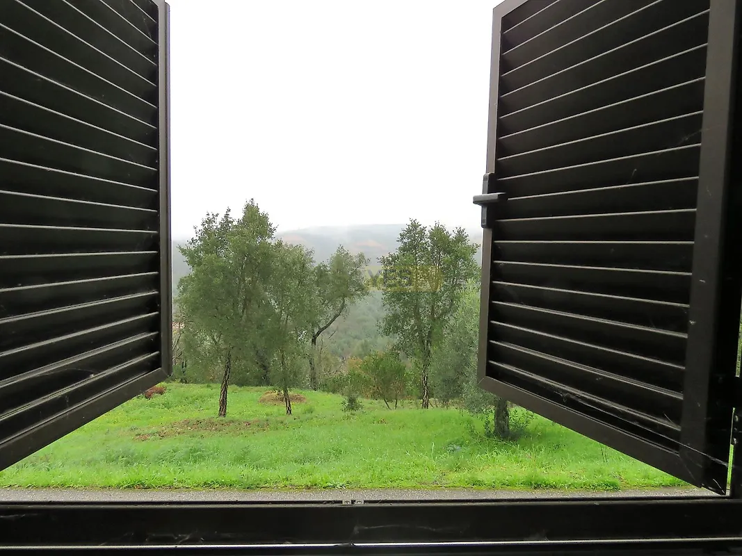 Moradia T3 à venda em São Martinho da Cortiça, Arganil — foto 15