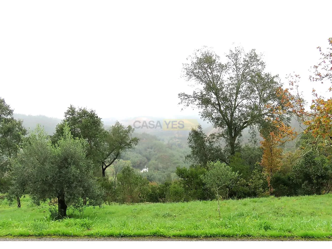 Moradia T3 à venda em São Martinho da Cortiça, Arganil — foto 34