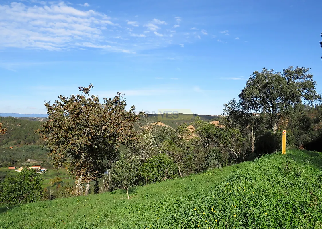 Moradia T3 à venda em São Martinho da Cortiça, Arganil — foto 14