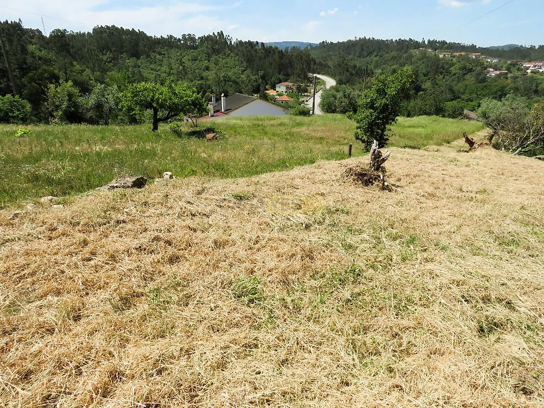 Moradia T1 à venda em São Miguel, Santa Eufémia e Rabaçal, Penela — foto 9