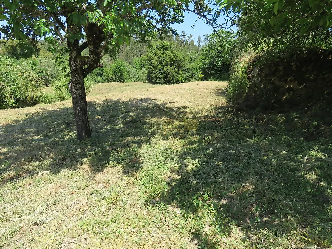 Moradia T1 à venda em São Miguel, Santa Eufémia e Rabaçal, Penela — foto 10