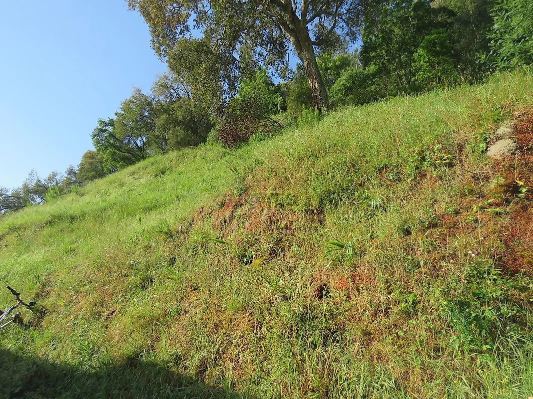 Moradia T2 à venda em Podentes, Penela — foto 38
