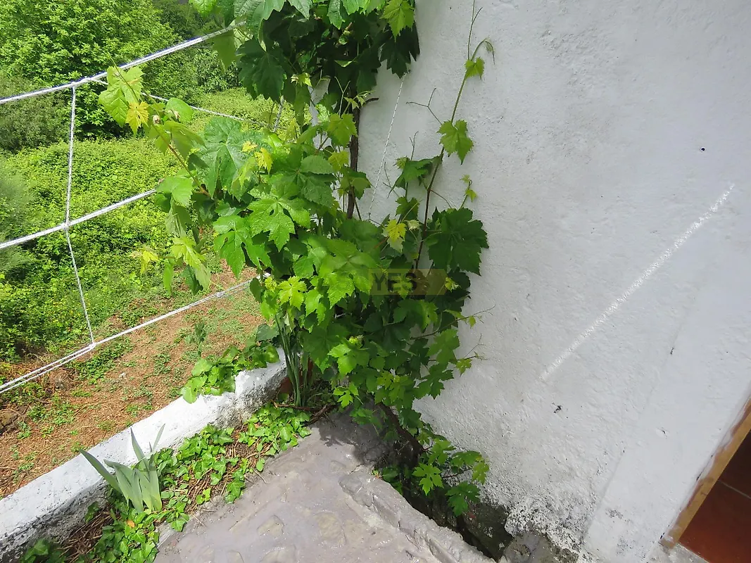 Moradia T2 à venda em Vila Nova, Miranda do Corvo — foto 6