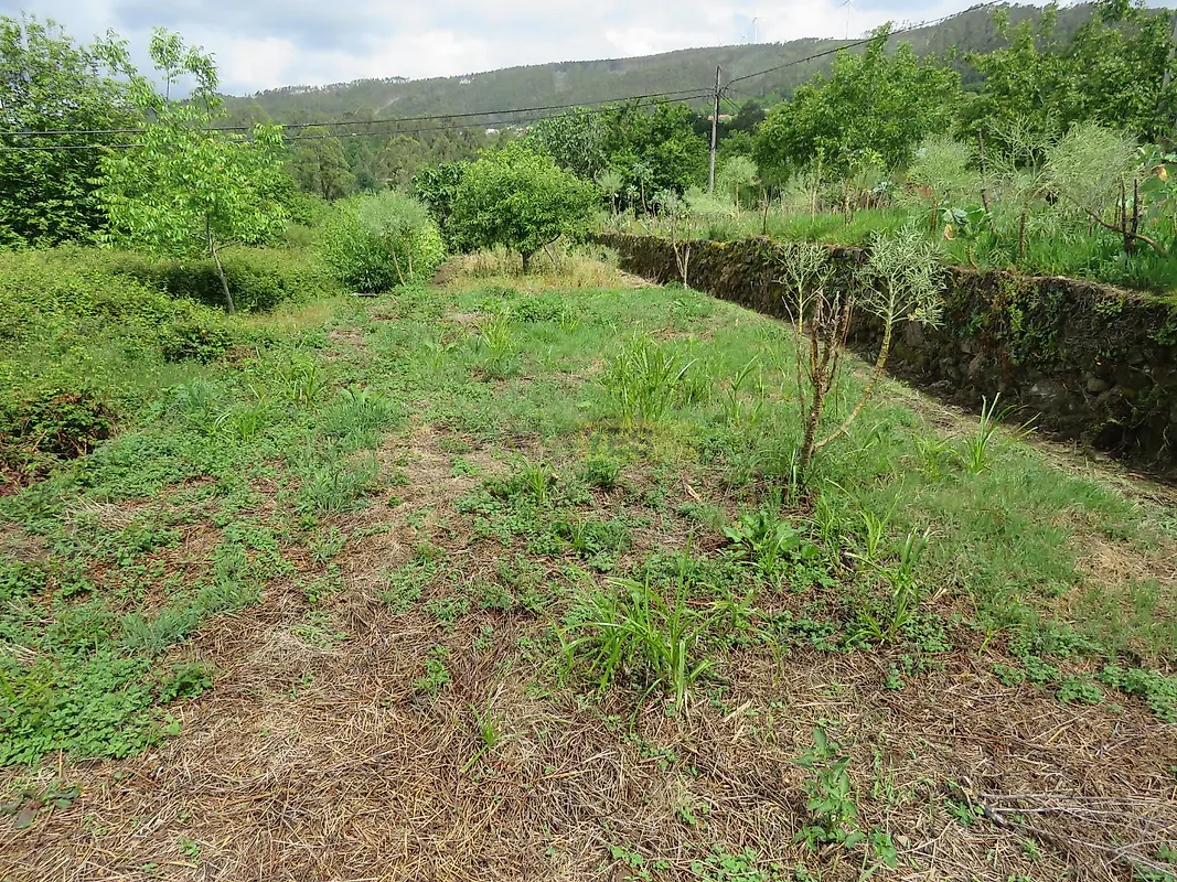 Moradia T2 à venda em Vila Nova, Miranda do Corvo — foto 39