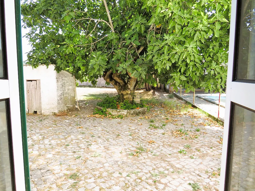 Moradia T6+ à venda em Alvorge, Ansião — foto 13