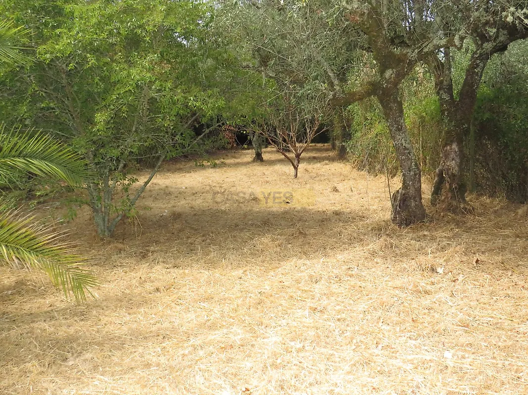 Moradia T0 à venda em Vila Nova, Miranda do Corvo — foto 15