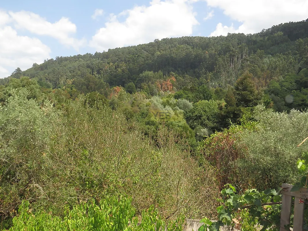 Moradia T0 à venda em Vila Nova, Miranda do Corvo — foto 17