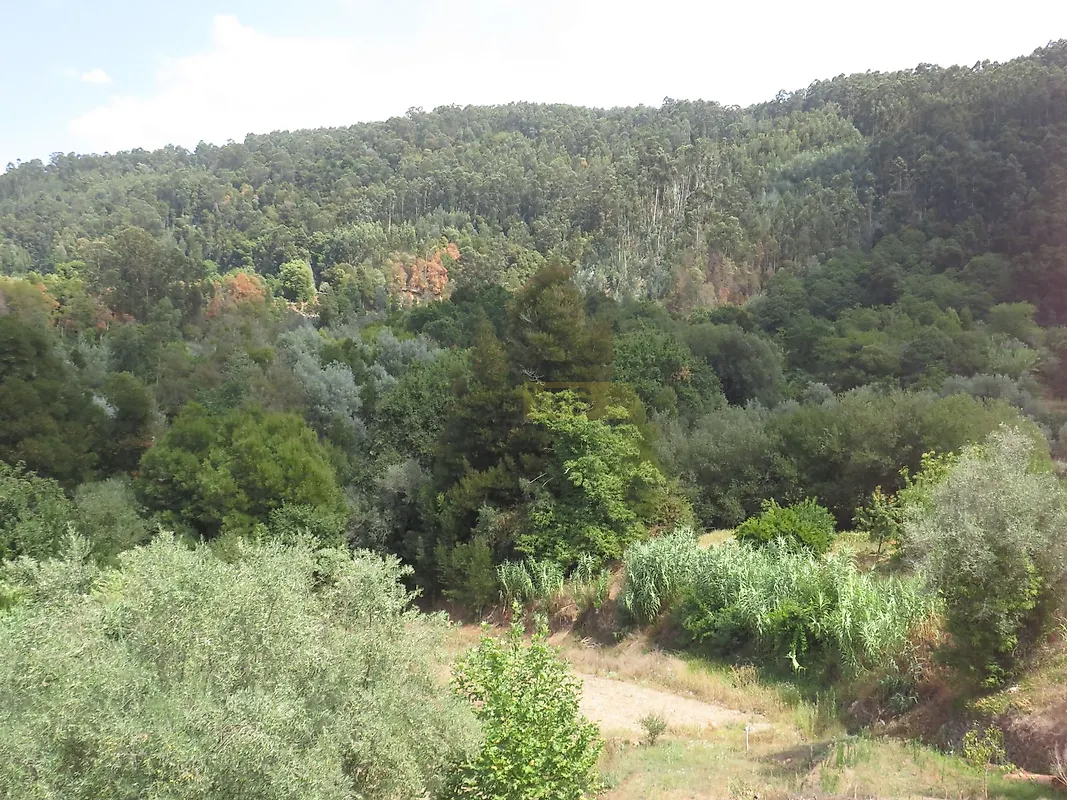 Moradia T0 à venda em Vila Nova, Miranda do Corvo — foto 21