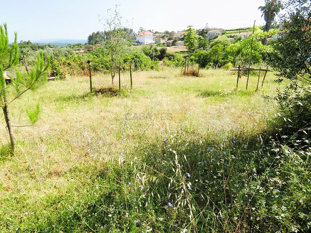 Moradia T4 à venda em Podentes, Penela — foto 29