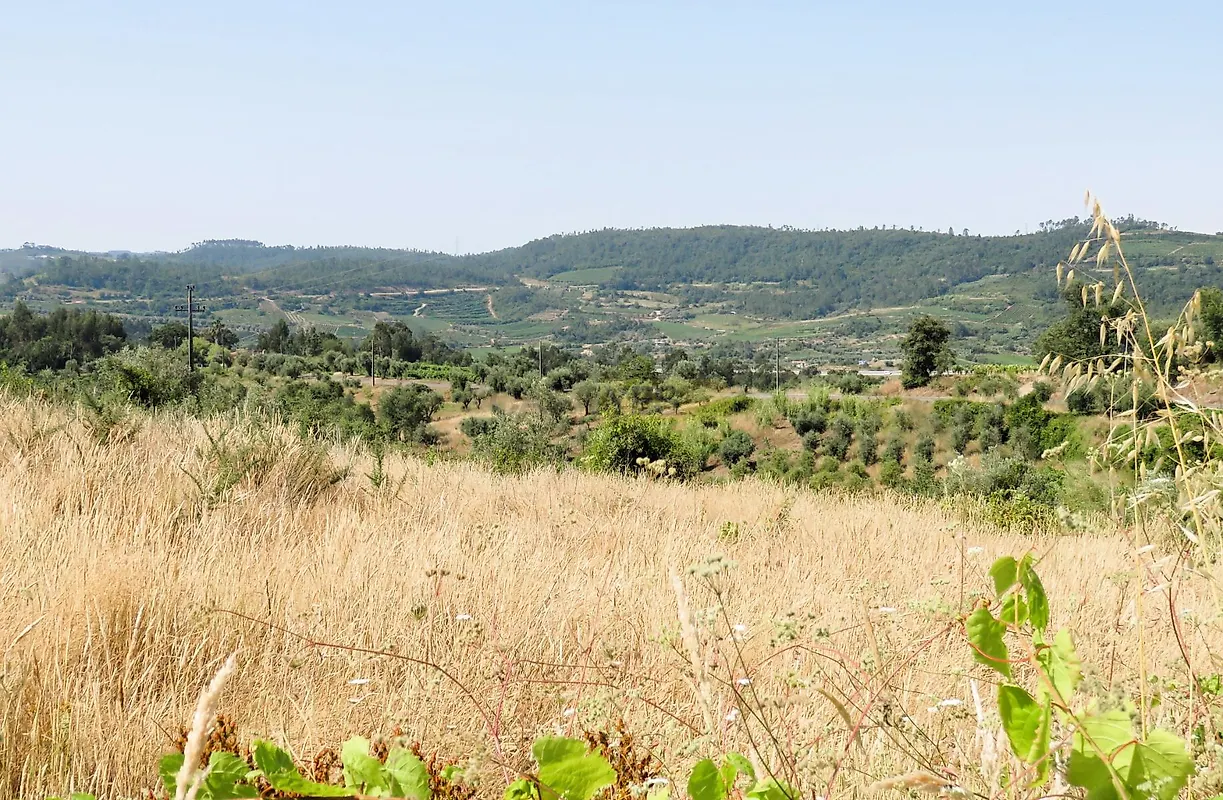 Moradia T4 à venda em Podentes, Penela — foto 31