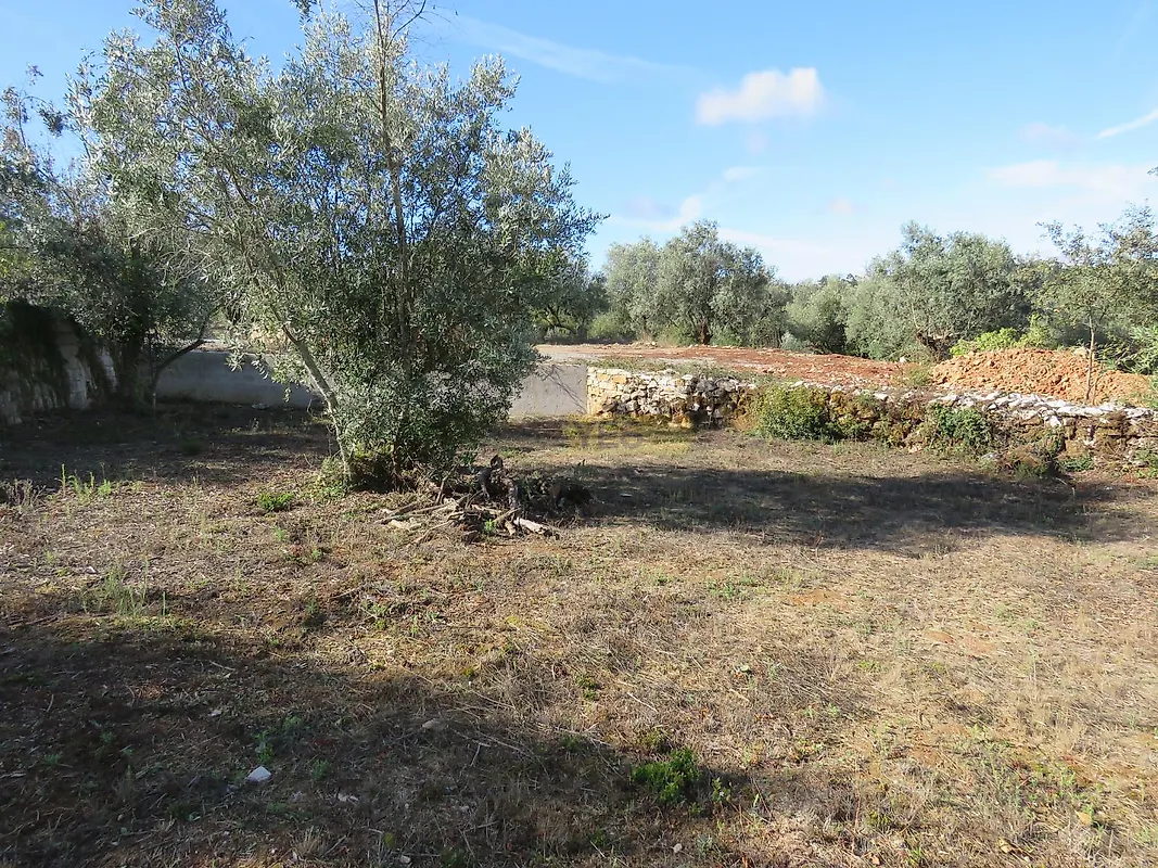 Moradia T3 à venda em Alvorge, Ansião — foto 10