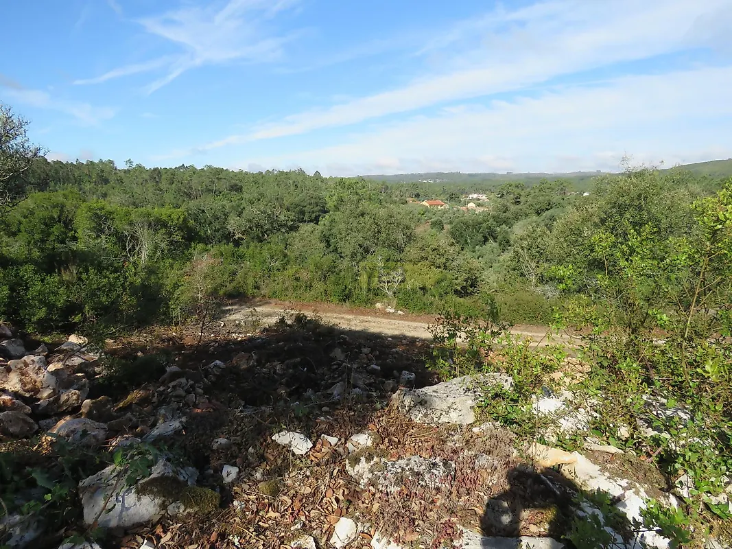 Moradia T3 à venda em Alvorge, Ansião — foto 11