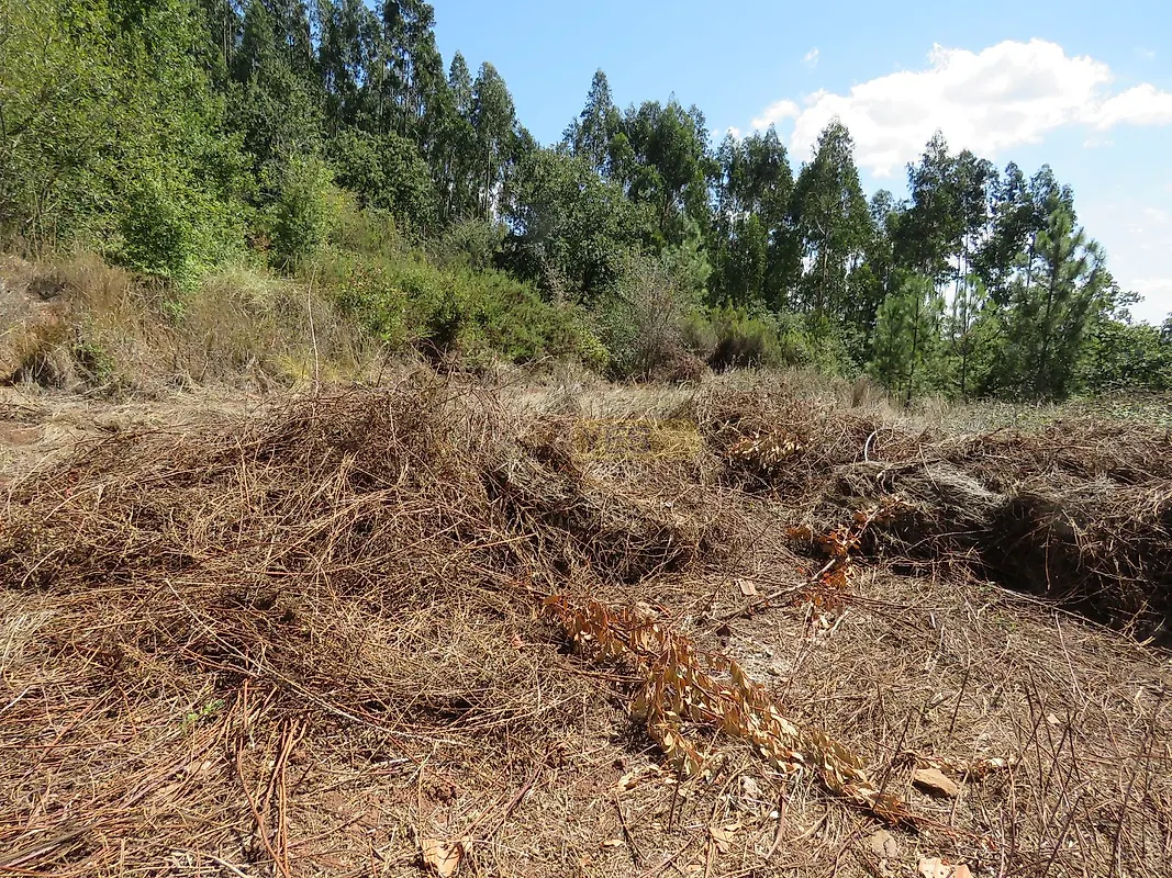 Moradia T0 à venda em Pousaflores, Ansião — foto 16