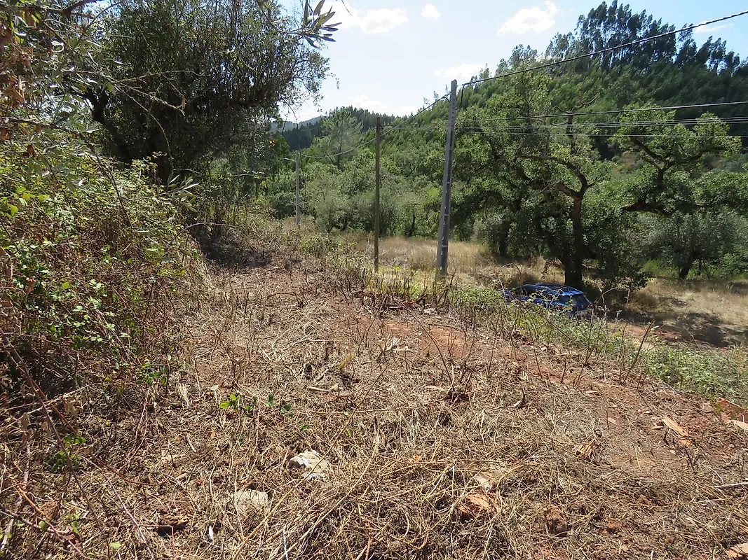 Moradia T0 à venda em Pousaflores, Ansião — foto 17