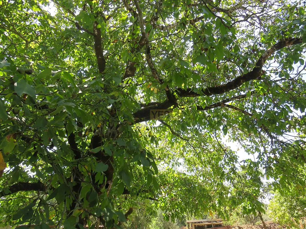 Moradia T2 à venda em Alvorge, Ansião — foto 17