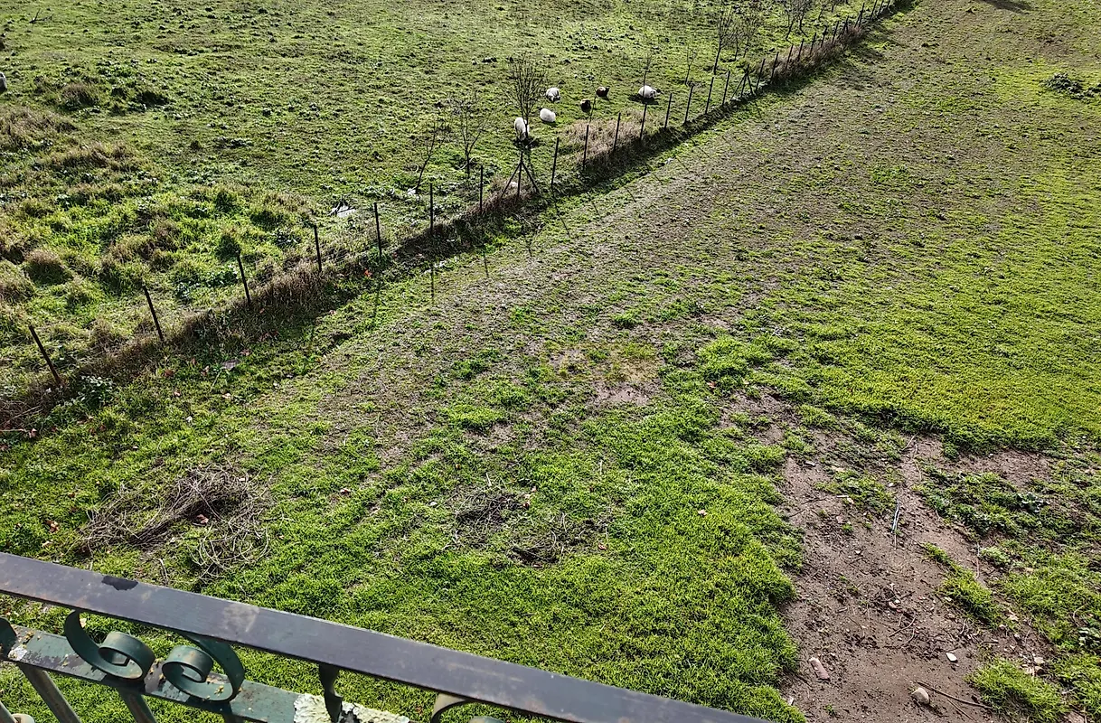 Moradia T2 à venda em Espinhal, Penela — foto 40