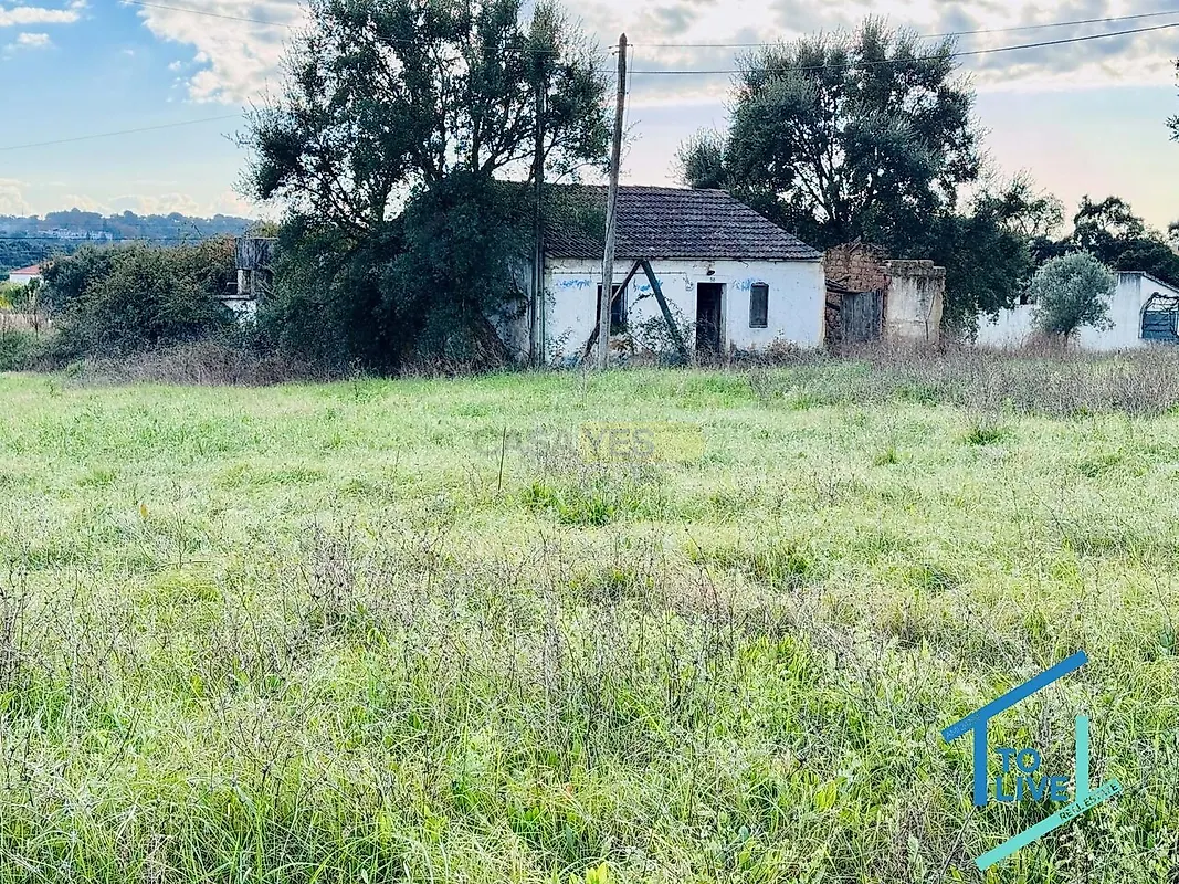 Moradia T0 em Tomar (São João Baptista) e Santa Maria dos Olivais, €99.000