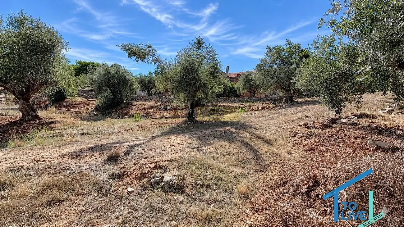 Moradia T3 à venda em Além da Ribeira e Pedreira, Tomar — foto 21