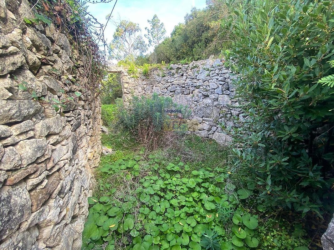 Moradia T1 à venda em Leiria, Pousos, Barreira e Cortes, Leiria — foto 16