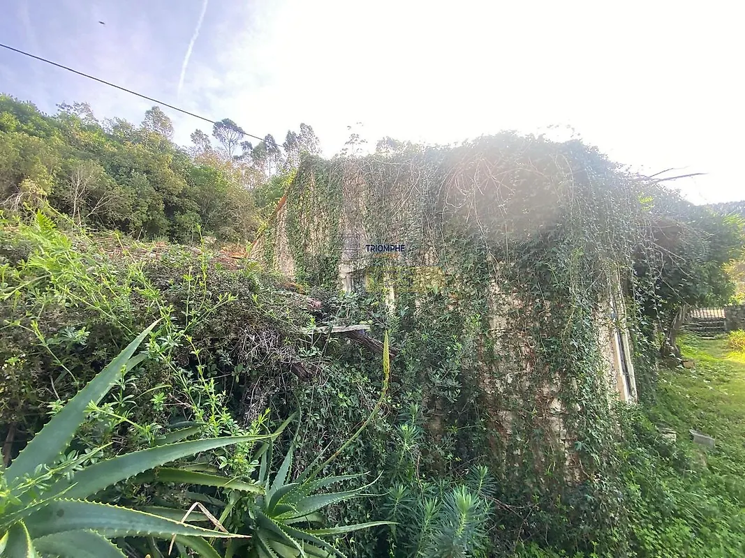 Moradia T1 à venda em Leiria, Pousos, Barreira e Cortes, Leiria — foto 19