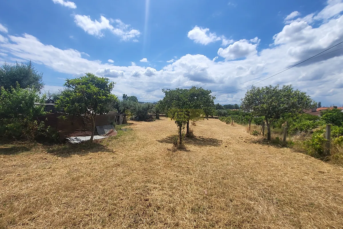 Moradia T4 à venda em Tomar (São João Baptista) e Santa Maria dos Olivais, Tomar — foto 25