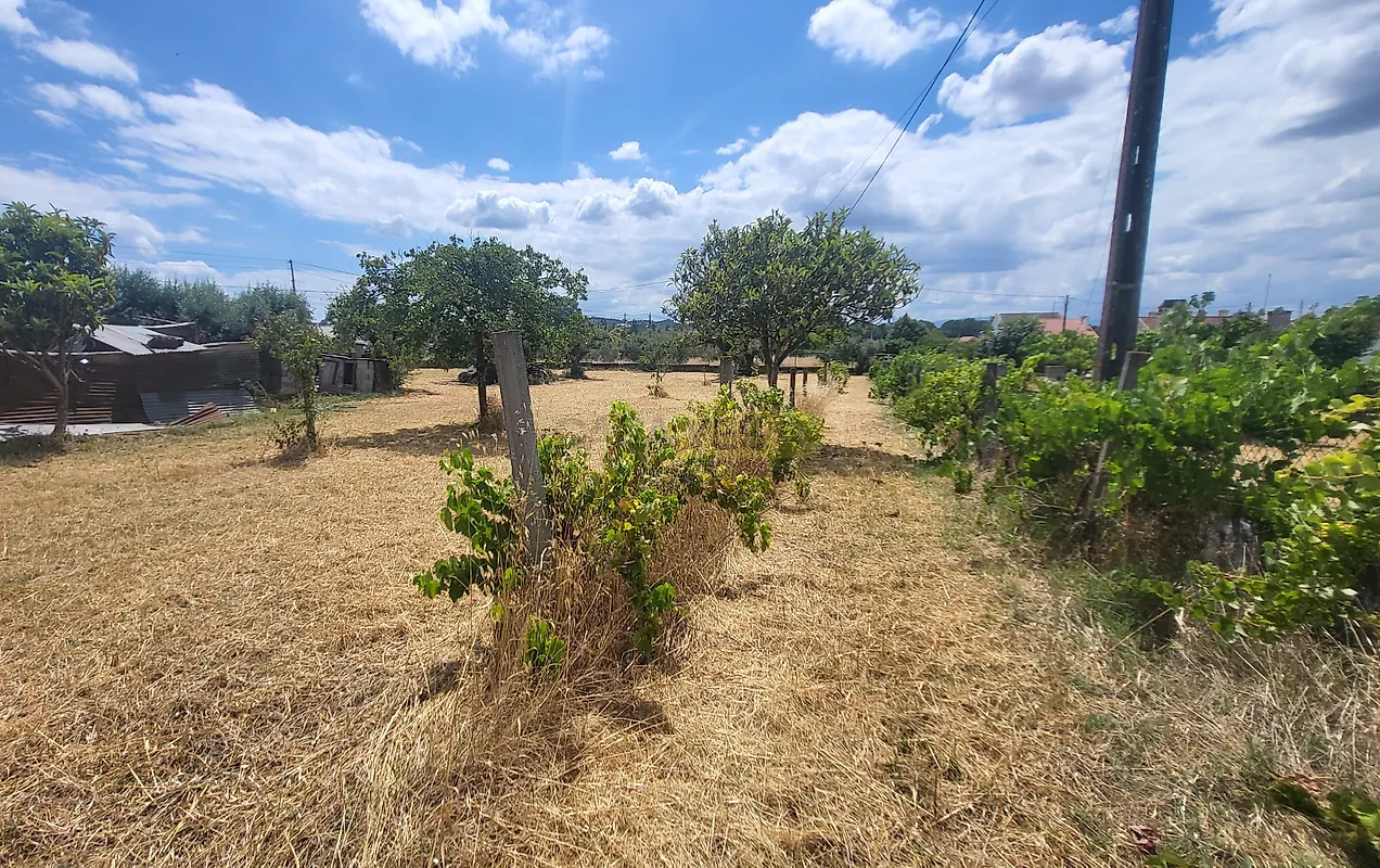Moradia T4 à venda em Tomar (São João Baptista) e Santa Maria dos Olivais, Tomar — foto 26