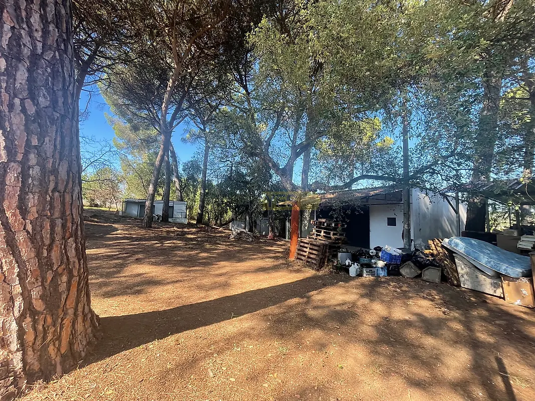 Moradia T4 à venda em Madalena e Beselga, Tomar — foto 19