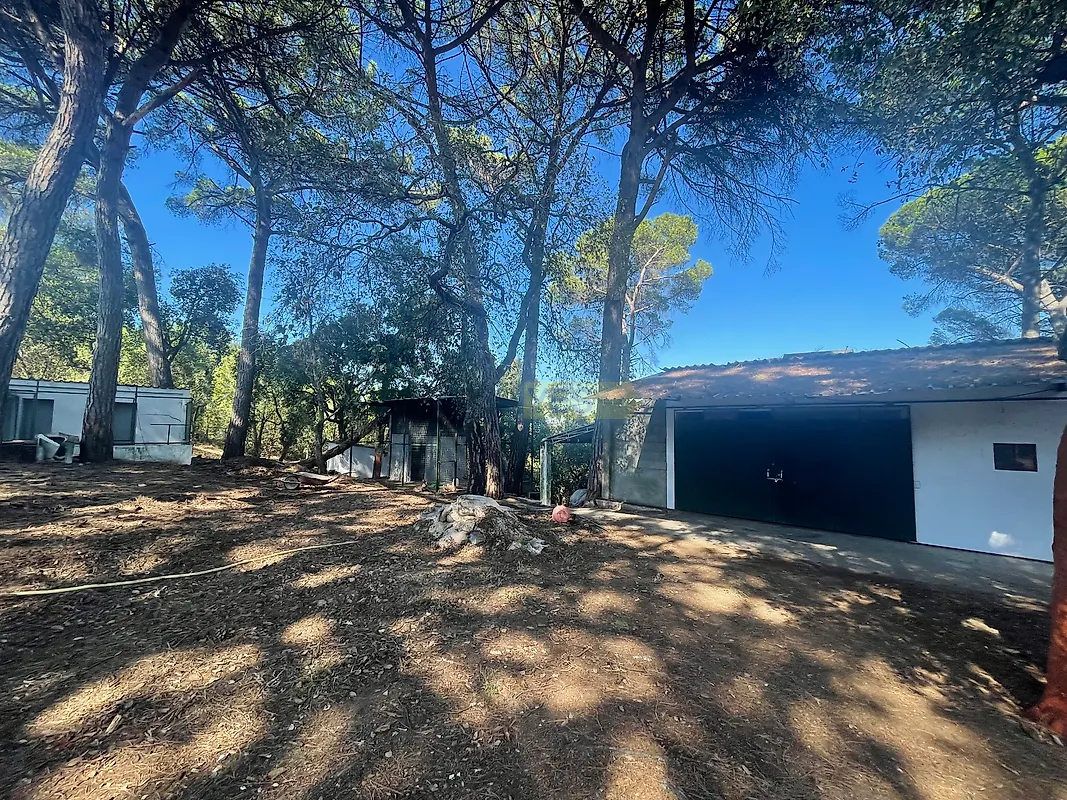 Moradia T4 à venda em Madalena e Beselga, Tomar — foto 18