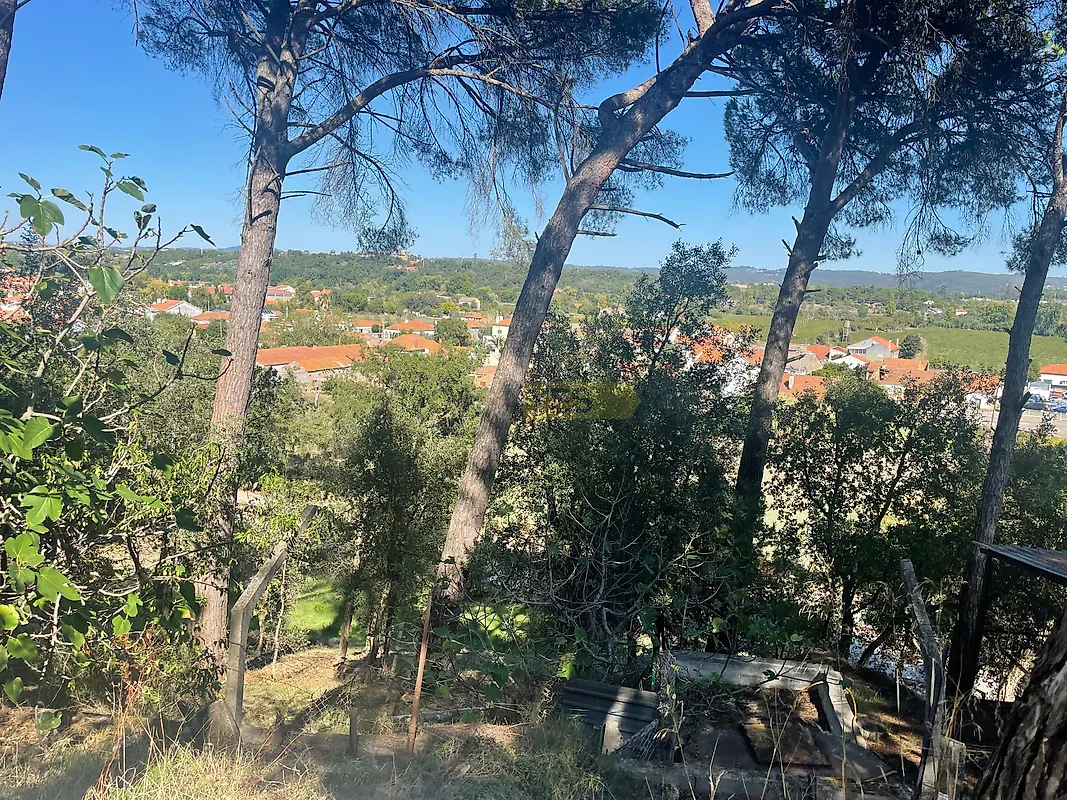 Moradia T4 à venda em Madalena e Beselga, Tomar — foto 25