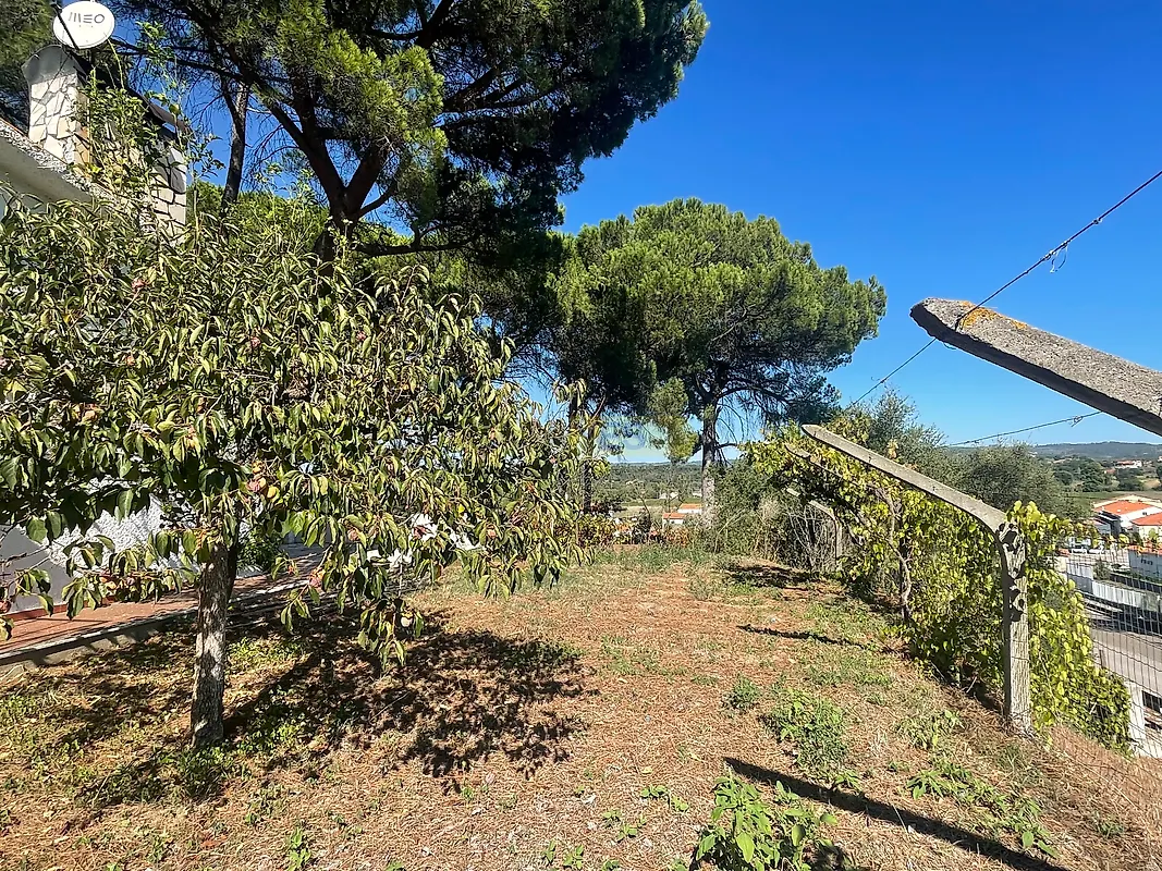 Moradia T4 à venda em Madalena e Beselga, Tomar — foto 29