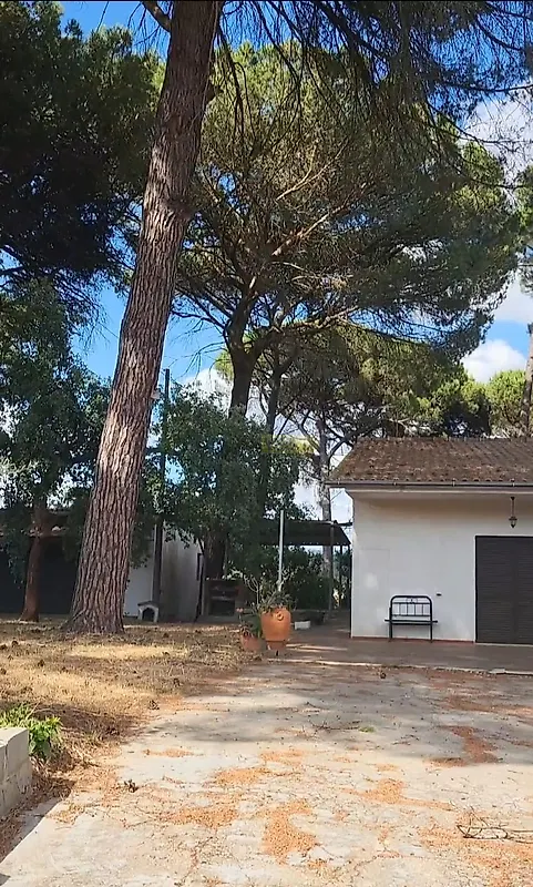 Moradia T4 à venda em Madalena e Beselga, Tomar — foto 27