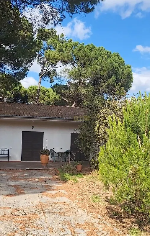 Moradia T4 à venda em Madalena e Beselga, Tomar — foto 28