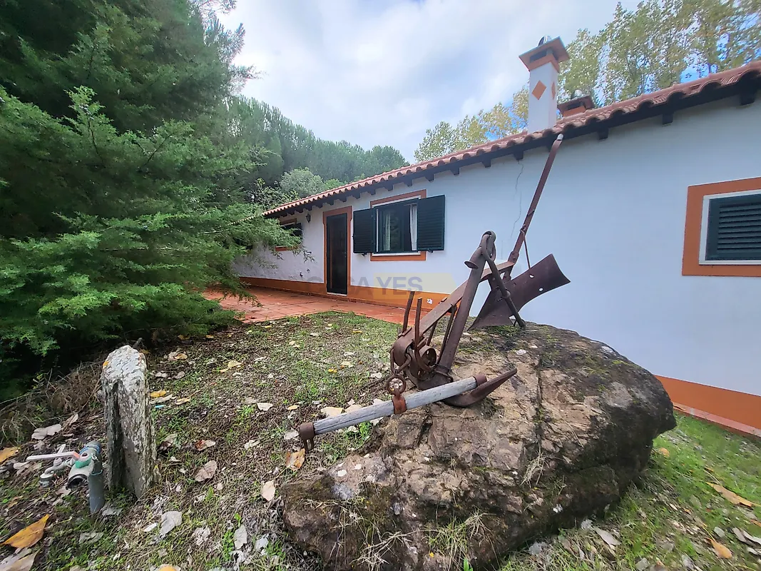 Moradia T2 à venda em Tomar (São João Baptista) e Santa Maria dos Olivais, Tomar — foto 2