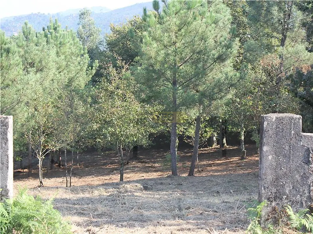 Moradia T0 à venda em Cristoval, Melgaço — foto 8