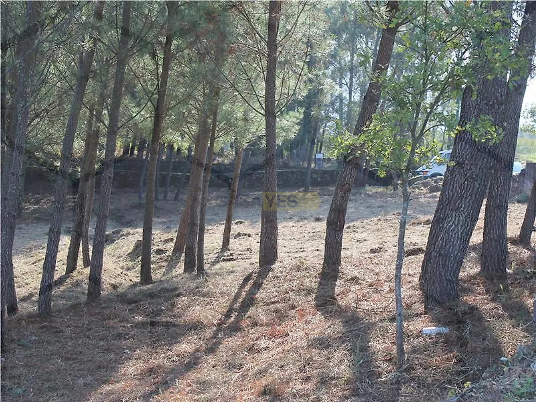 Moradia T0 à venda em Cristoval, Melgaço — foto 9