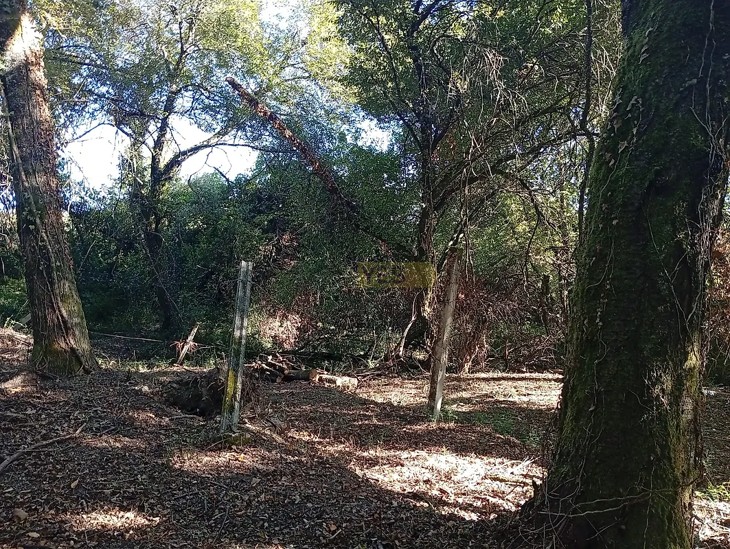 Moradia T1 à venda em Sabadim, Arcos de Valdevez — foto 8