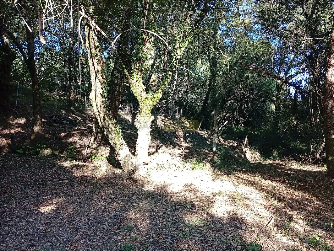 Moradia T1 à venda em Sabadim, Arcos de Valdevez — foto 14
