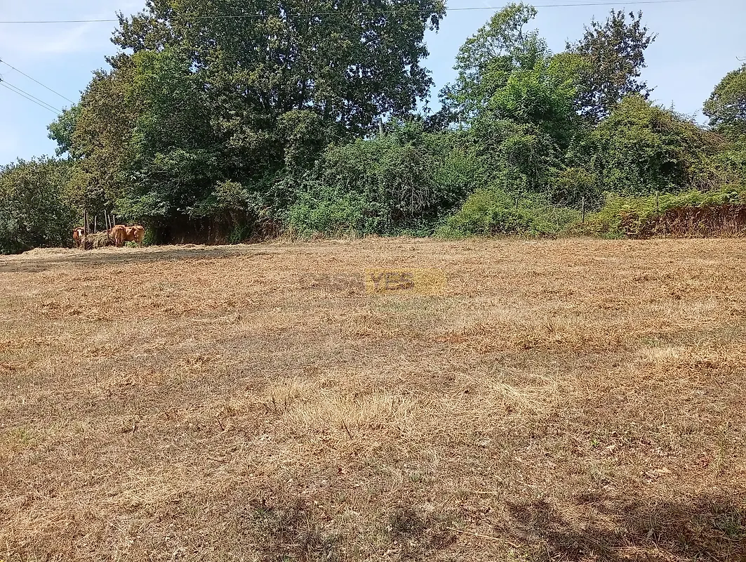 Moradia T4 à venda em Guilhadeses e Santar, Arcos de Valdevez — foto 12