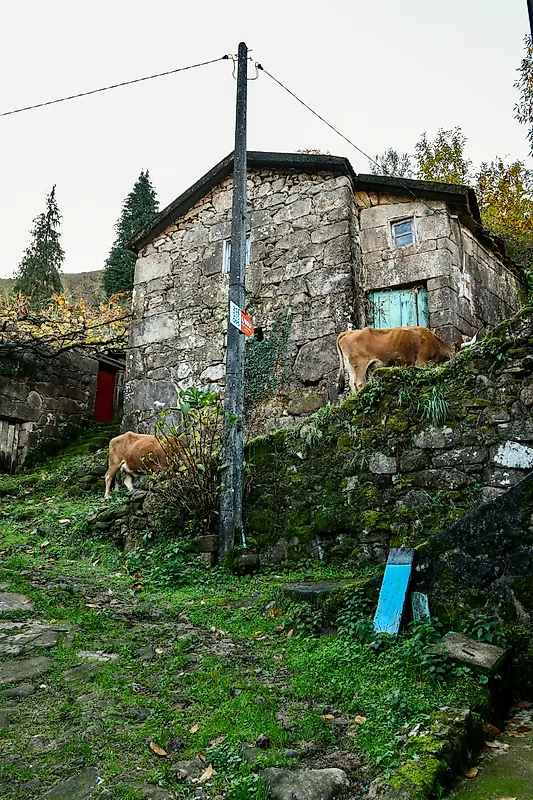 Moradia T4 à venda em Sistelo, Arcos de Valdevez — foto 3