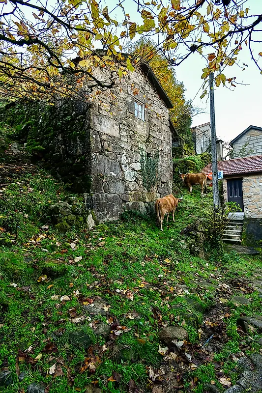 Moradia T4 à venda em Sistelo, Arcos de Valdevez — foto 4