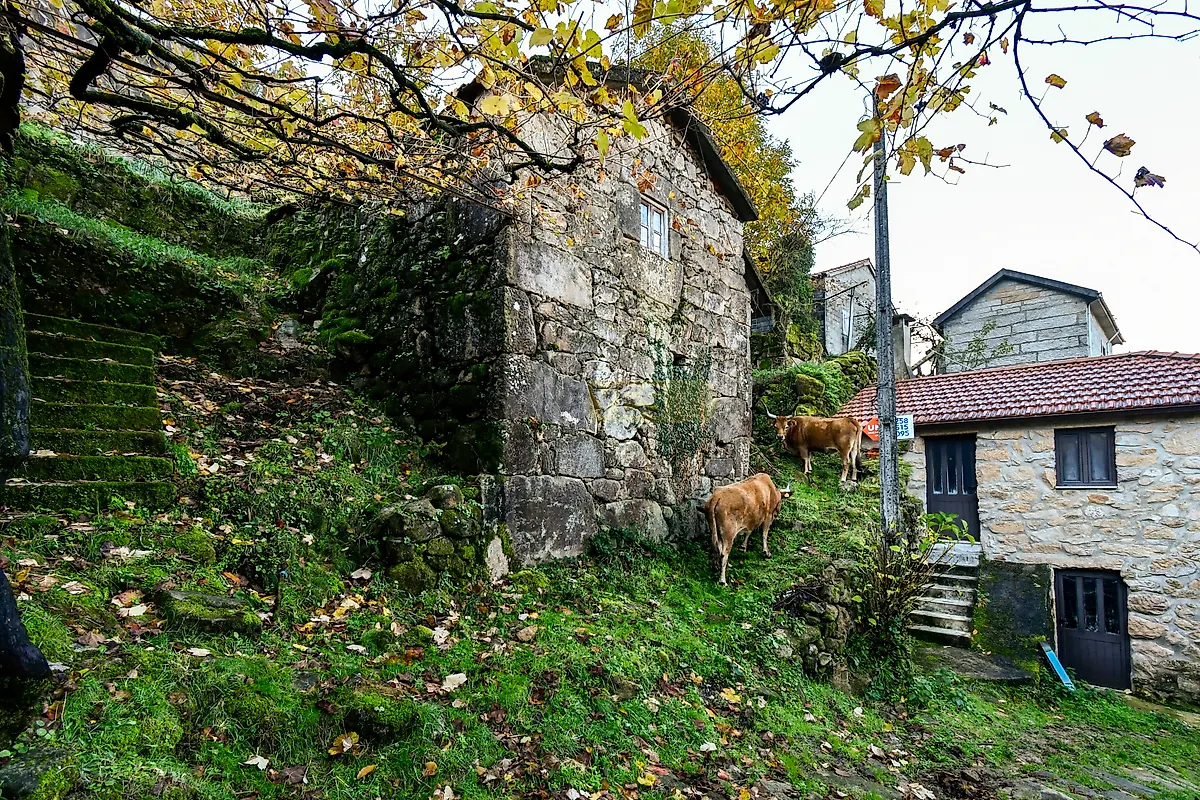 Moradia T4 à venda em Sistelo, Arcos de Valdevez — foto 5