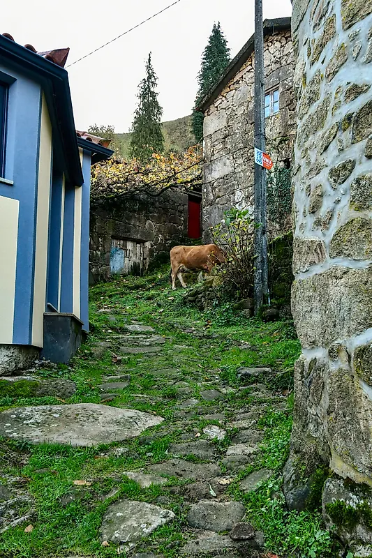 Moradia T4 à venda em Sistelo, Arcos de Valdevez — foto 14
