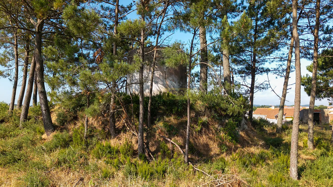 Moradia T1 à venda em Vidais, Caldas da Rainha — foto 4
