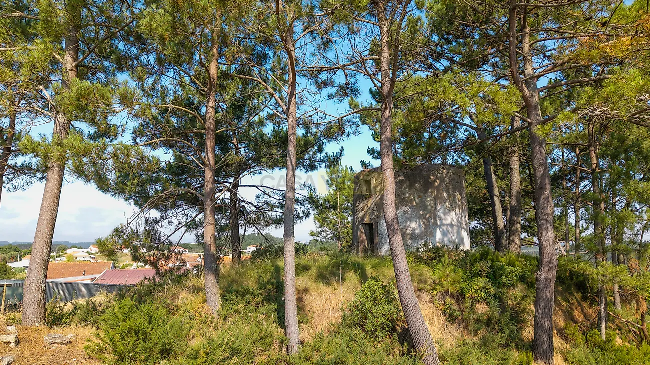 Moradia T1 à venda em Vidais, Caldas da Rainha — foto 5