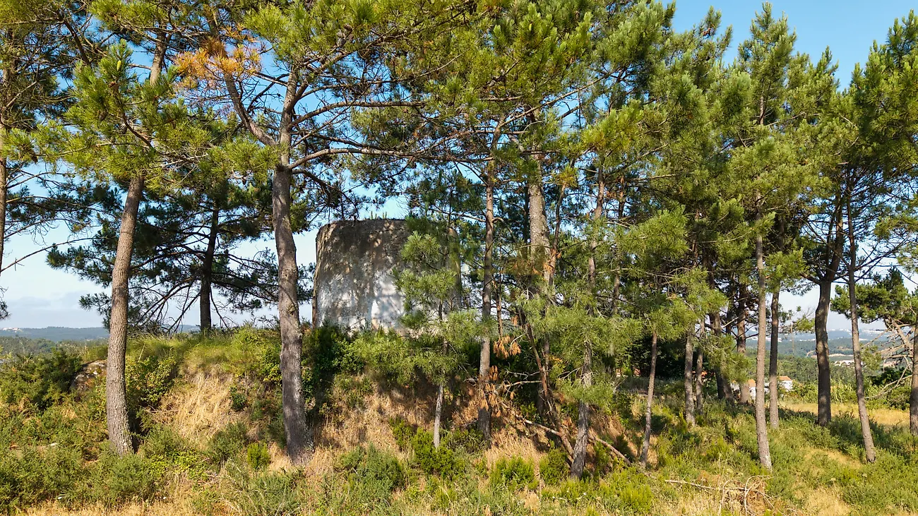Moradia T1 à venda em Vidais, Caldas da Rainha — foto 7