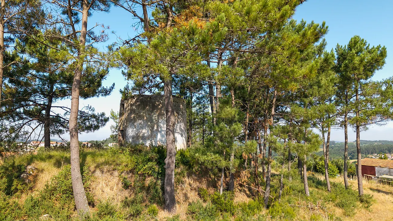 Moradia T1 à venda em Vidais, Caldas da Rainha — foto 8