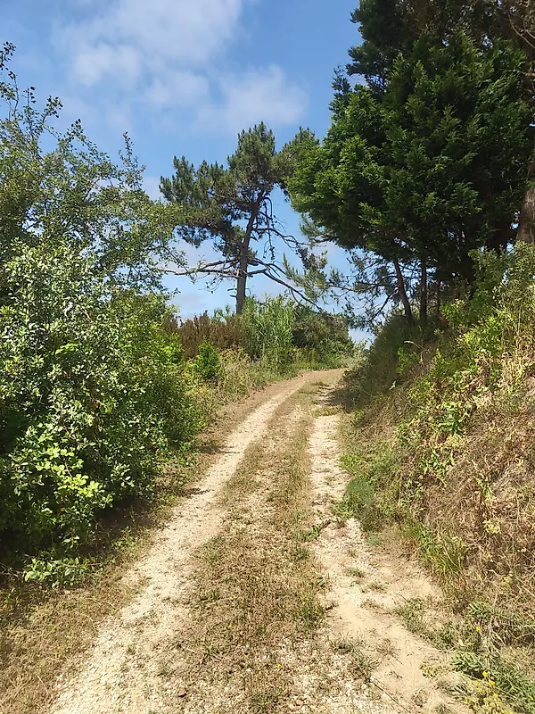 Moradia T1 à venda em Vidais, Caldas da Rainha — foto 18